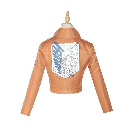 Attack titan shingeki - attack, no
