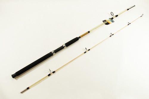 Canna pesca lunga - da, 2,10