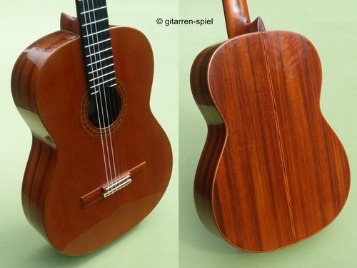 Elegante chitarra concerto - da,