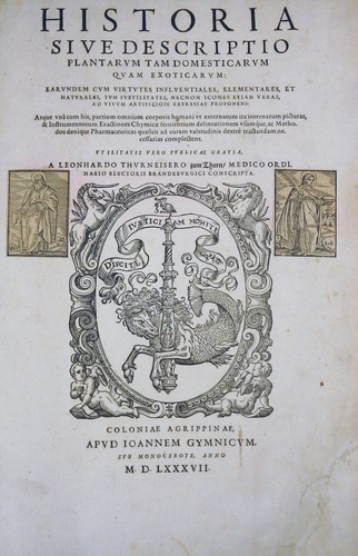 Botanik historia plantarum - historia,