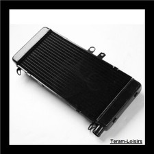 Radiatore per Honda CB 900 919