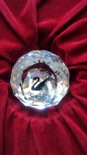 SWAROVSKI SCS Fermacarte