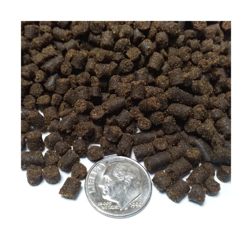 Aquatic foods inc - aquatic, inc.