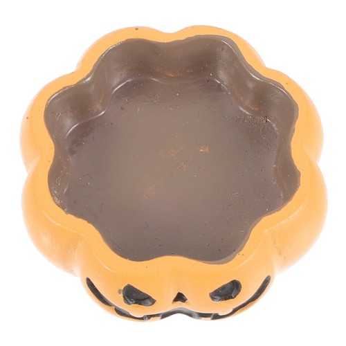 Piatto acqua drago barbuto - piatto,