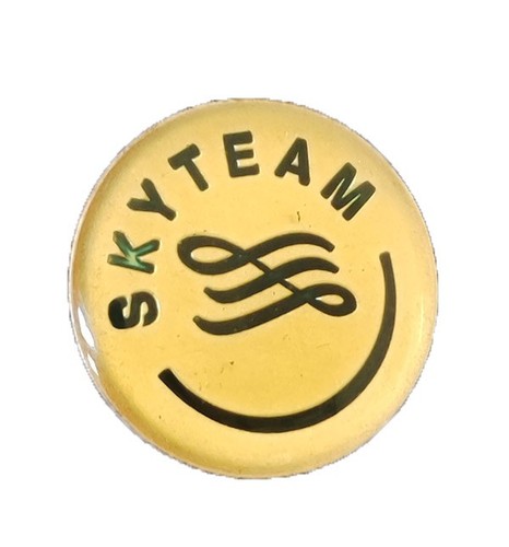 Spilla skyteam alliance - spilla,