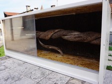 Terrario artigianale in legno