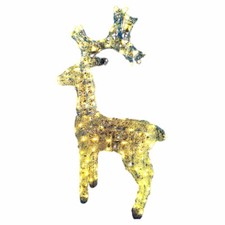 Renna Illuminata per