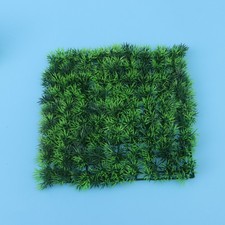  Erba Da Riproduzione Tappeto