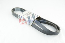 ALTERNATOR COMPRESSOR BELT