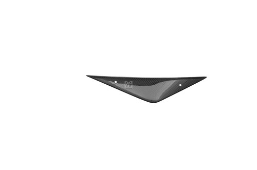Airbox carbonio coperchio - airbox,