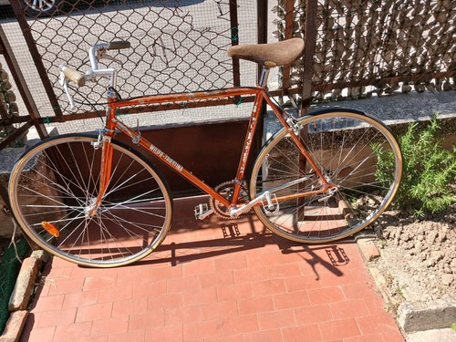 Bicicletta uomo vintage wilier - bicicletta,