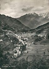 1954 CORTENO GOLGI Panorama