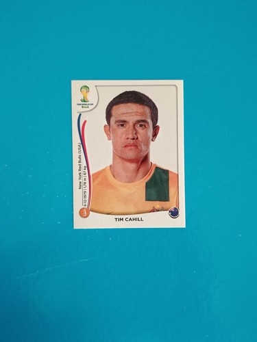 Figurine panini world cup - world,