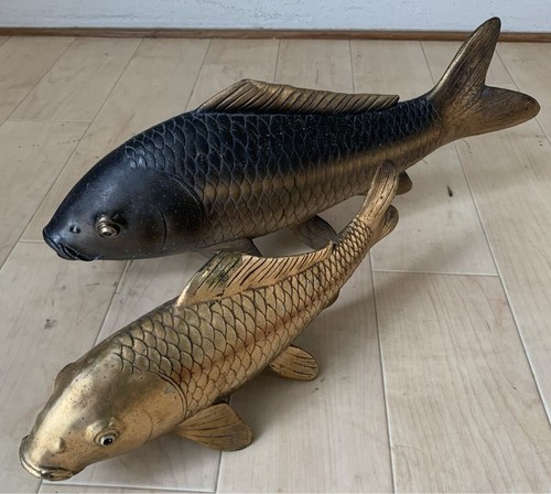 Vecchia coppia carpe koi - di,