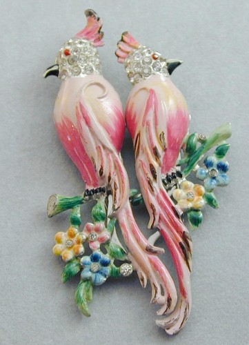 Coro duette calopsita birds - duette,