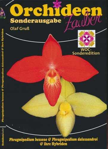 Phragmipedium besseae und