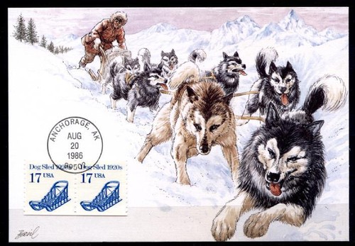 Slitta per cani scheda - slitta,