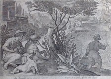 Stradanus Stradano Galle