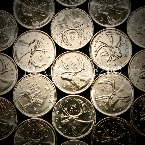 Canada caribou 25 - 🇨🇦,