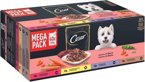 Cesar cibo umido - cesar, cani