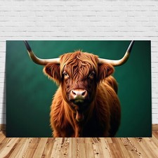 ✅ Altopiani Scozzesi, Animal