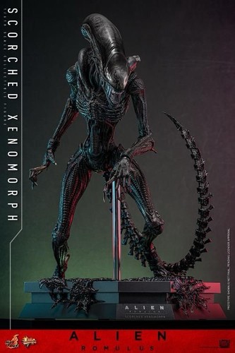 Hot toys mms784 alien - hot, romulus