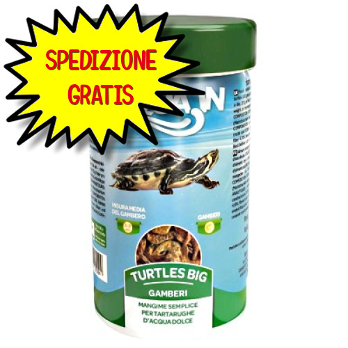 Aqua turtle big gamberi - aqua-in,