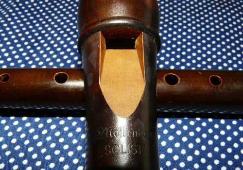 Principianti mollenhauer - principianti!,
