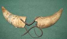 Casa/Arredamento/Decorazione " COPPIA DI CORNA DI TORO " Bricolage