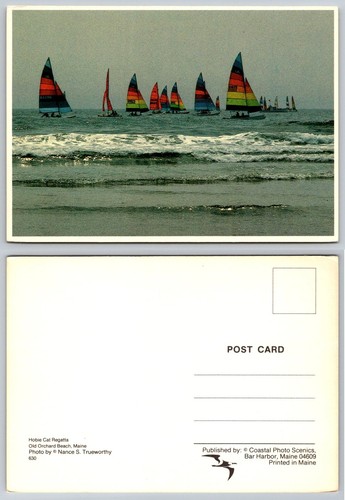 Hobie cat regatta - cat, frutteto