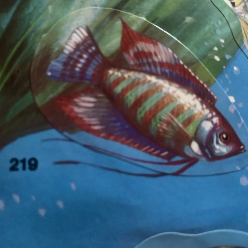 Figurina 219 mondo - n.219, degli