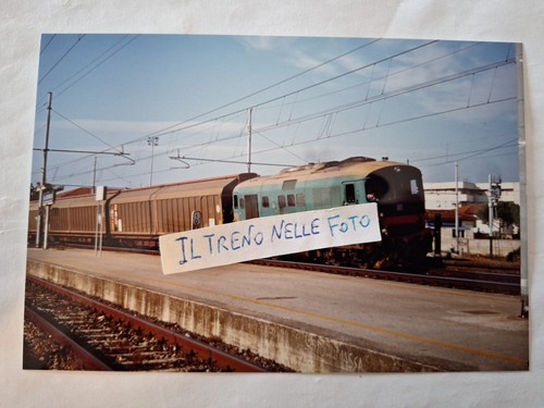 Fotografia stazione pisa - fotografia,