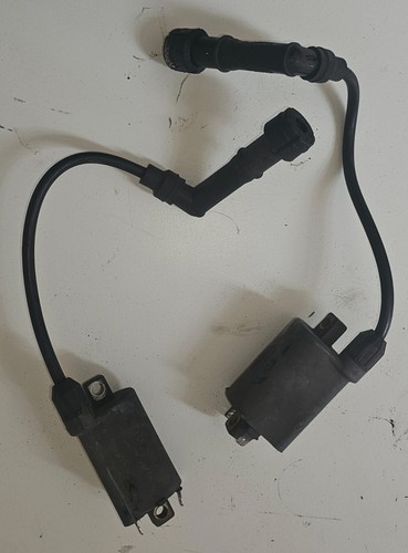 Coppia bobine accensione - coppia,