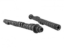 Alberi camme skunk2 - alberi,