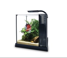 Fluval Betta Premium Kit per