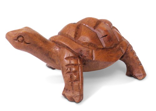 Tartaruga legno della - tartaruga,