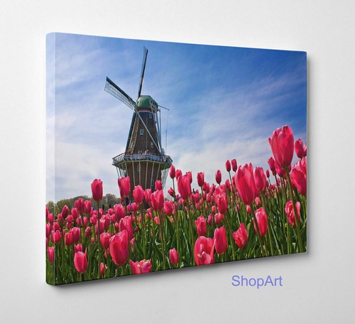 Quadro campo tulipani - campo, e