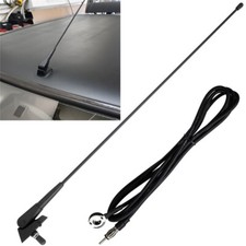 Cavo base antenna albero - , tetto