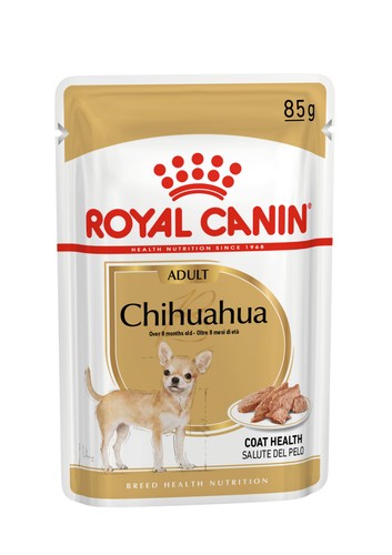 Chihuahua adult wet - adult,