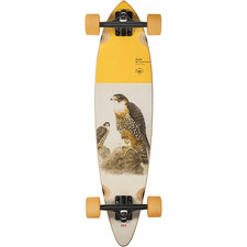 Globo Longboard Pintail 34