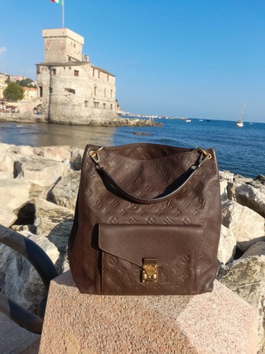 Metis hobo