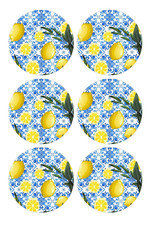 12 pezzi piastrelle Talavera