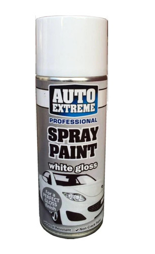 Vernice spray bianca - vernice,