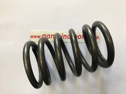 Molla frizione motozappa pasbo - frizione,