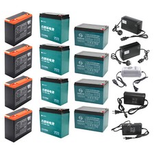 Batteria 6-DZM-20 20ah 12Ah