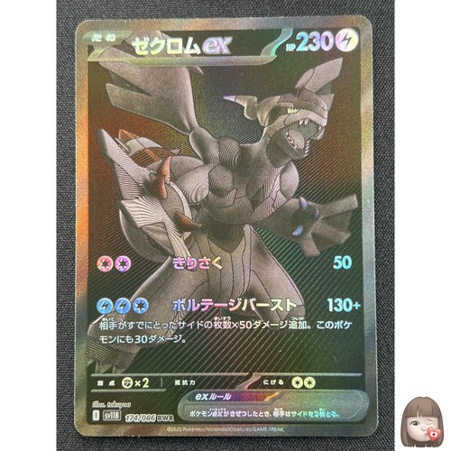 Zekrom ex pokemon - zekrom,
