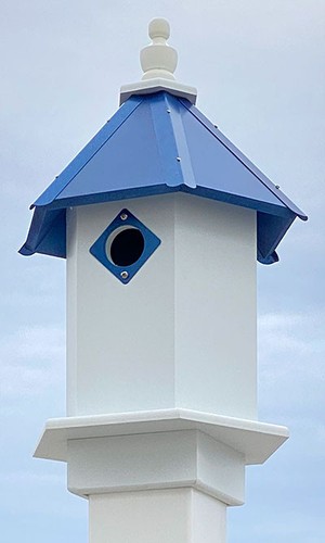 Wing prayer bluebird casa - wing, a