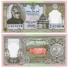 Banconota Nepal 25 rupie ND