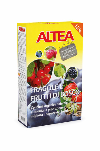 Altea fragole frutti bosco - altea, di