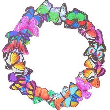  Farfalla Decorazione Farfalla